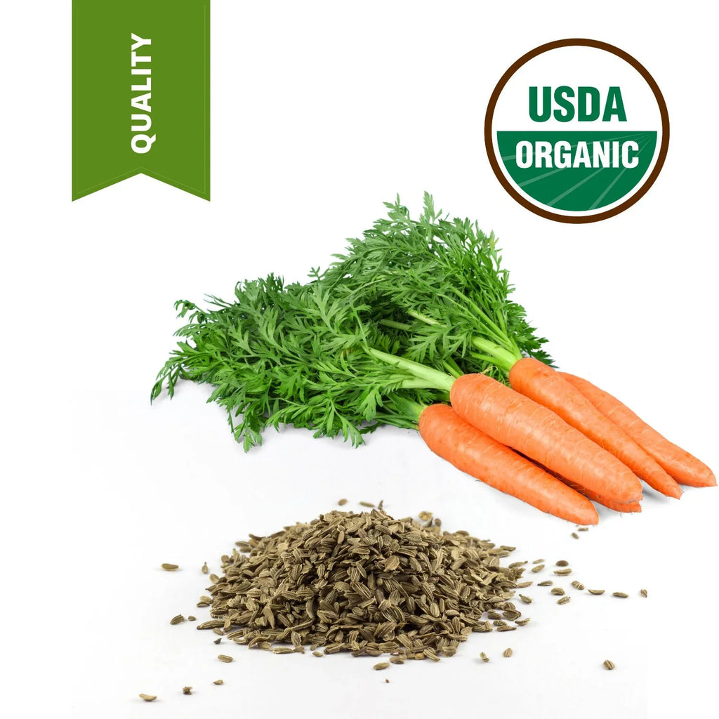 4 lbs 100% Pure High Standard Carrot Seed Oil Certified Unrefined Carrier Oil