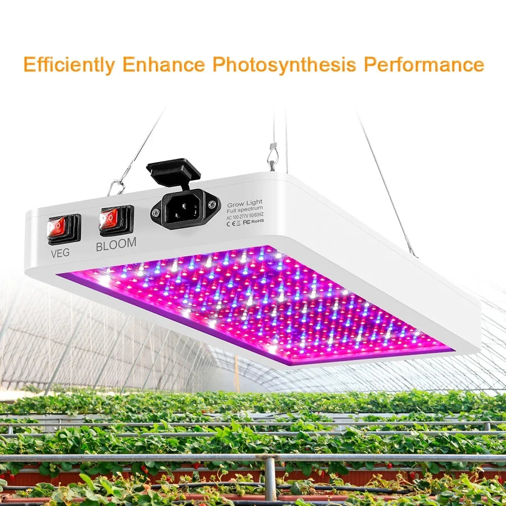 2000W Full Spectrum LED Grow Light with 312 LEDs - Indoor Plant Growing Lamp with Veg/Bloom Switch, IP65 Waterproof, Excellent for Seedlings, Flowers, Greenhouse
