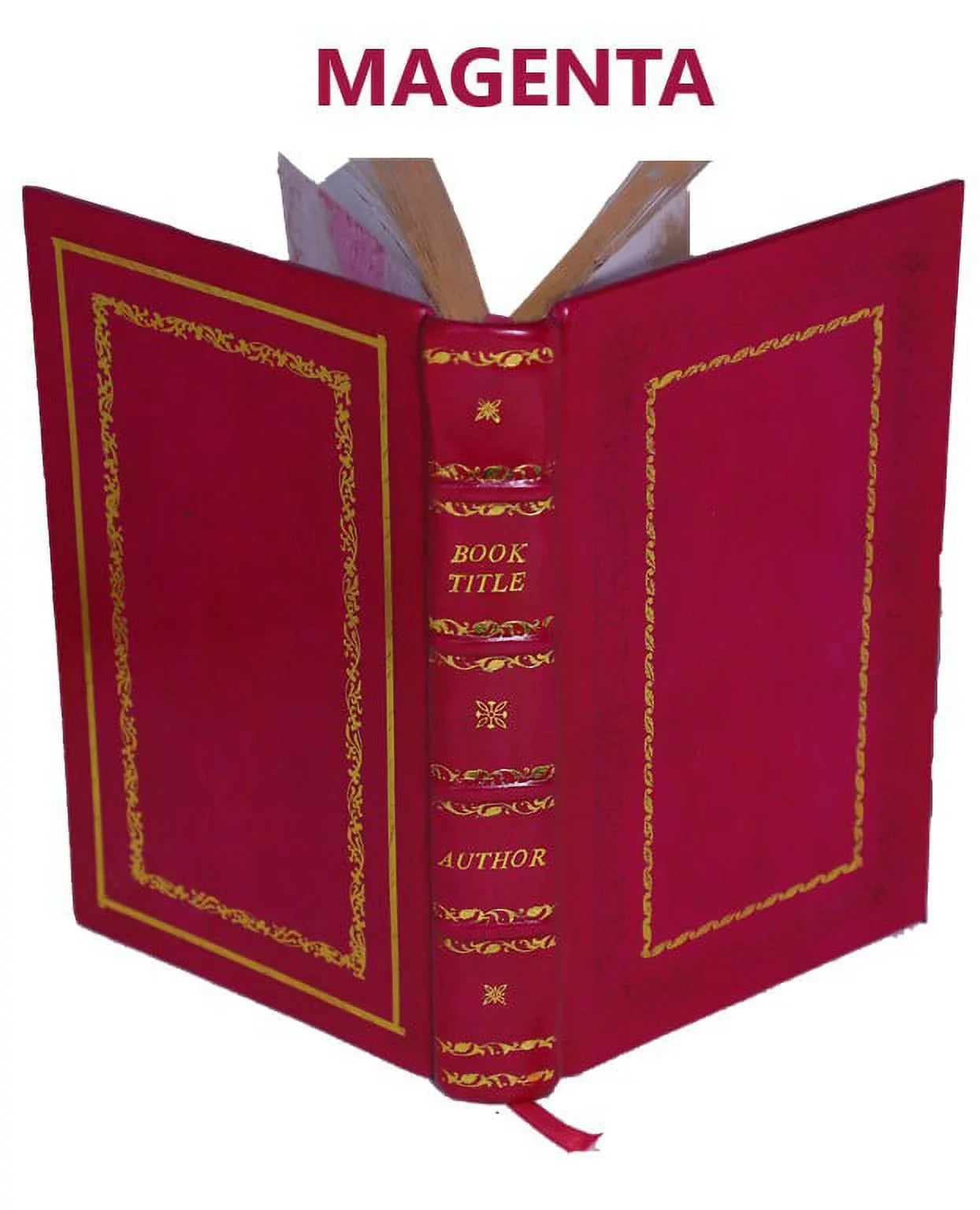 The domestic and artistic life of John Singleton Copley 1882 [Premium Leather Bound]