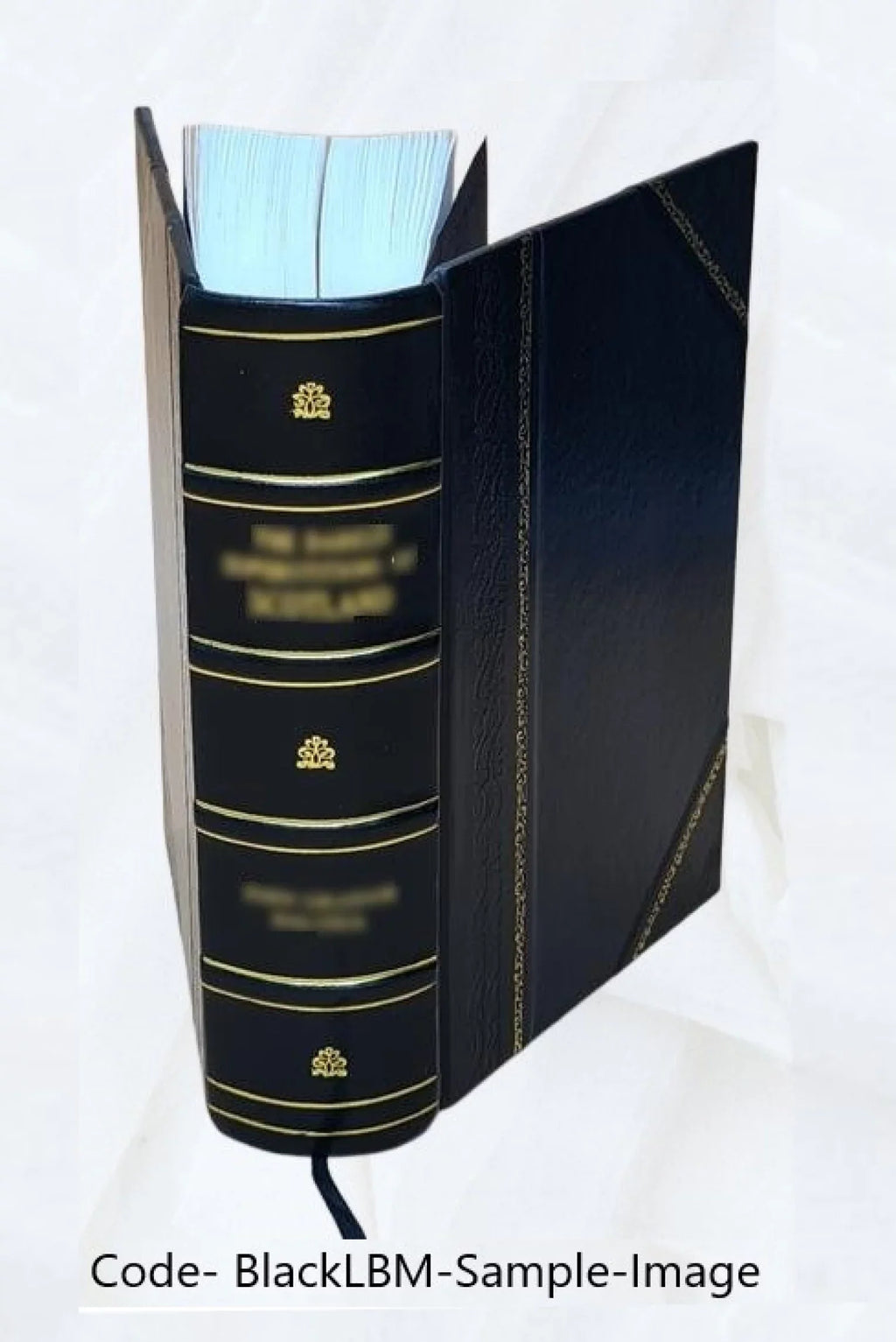 Théatre choisi Volume 3 1841 [Leather Bound]