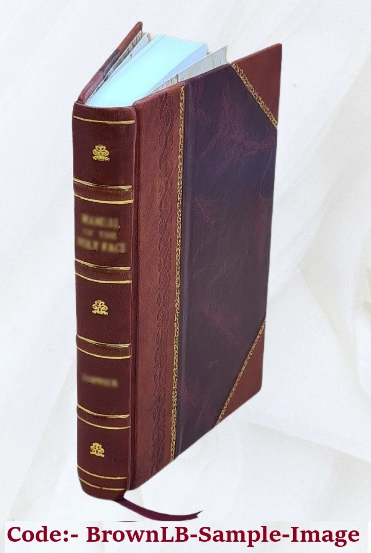 Johnnie; a memory of boyhood, 1903 [Leather Bound]